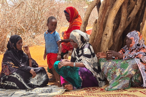 Health Care Project, Ethiopia