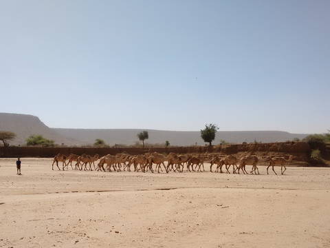 Somali-Region