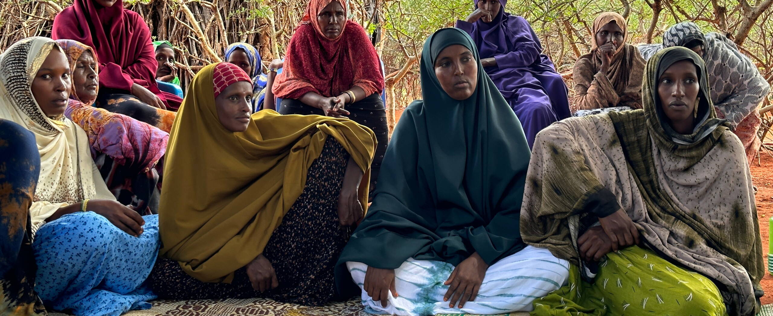Engagement gegen weibliche Genitalbeschneidung Frauen sitzen unter einem Baum und hören jemandem zu.