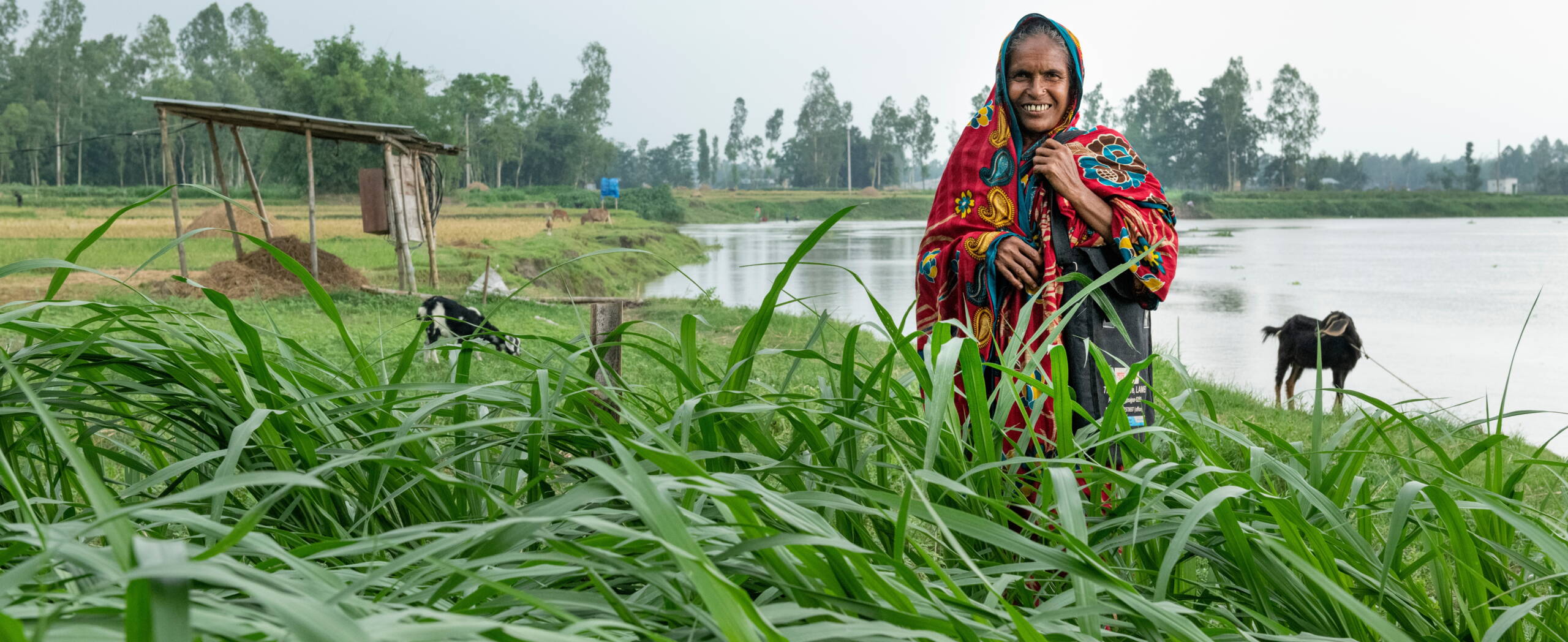 Fisteladvokatin Nofisa Khatun Fisteladvokatin Nofisa Khatun in einem Feld in Bangladesch