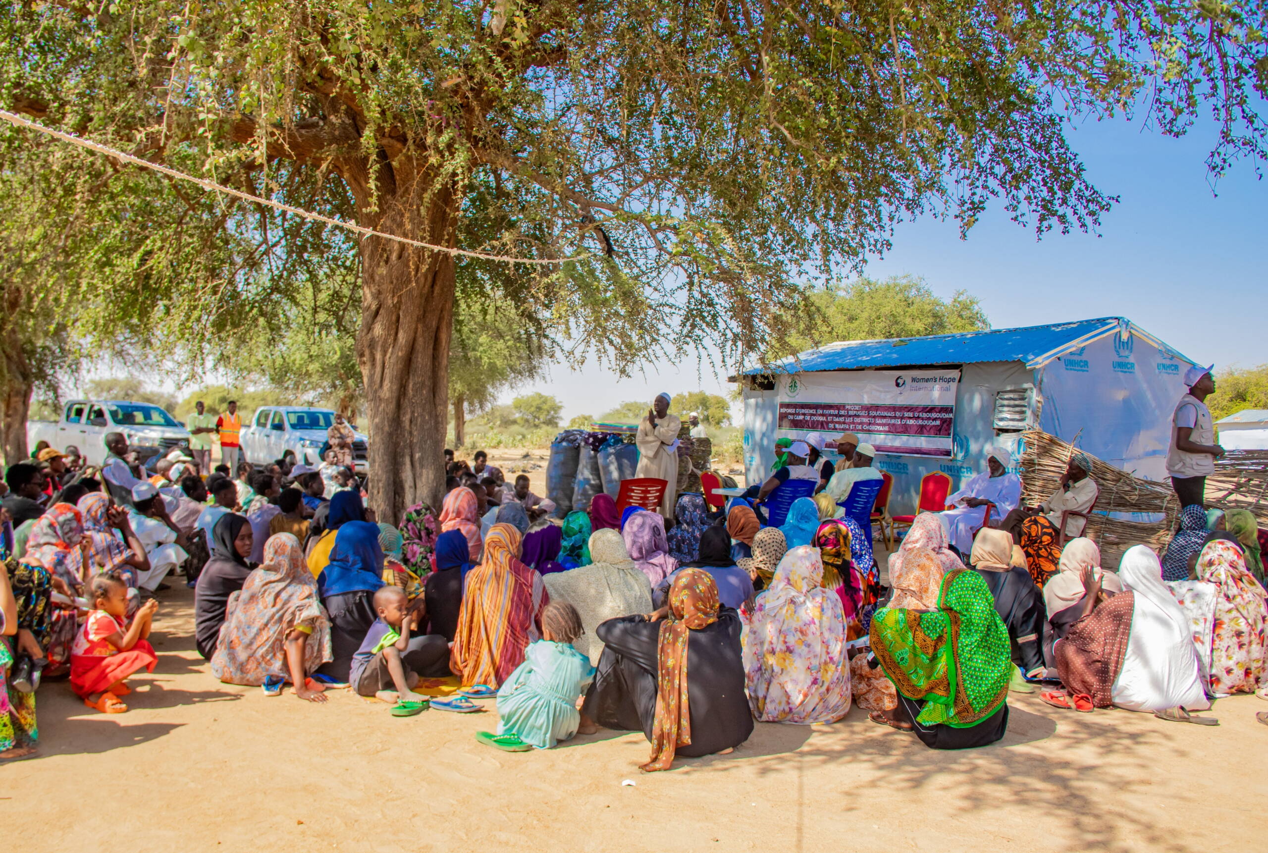 Frauen sitzen unter einem Baum im Schatten.