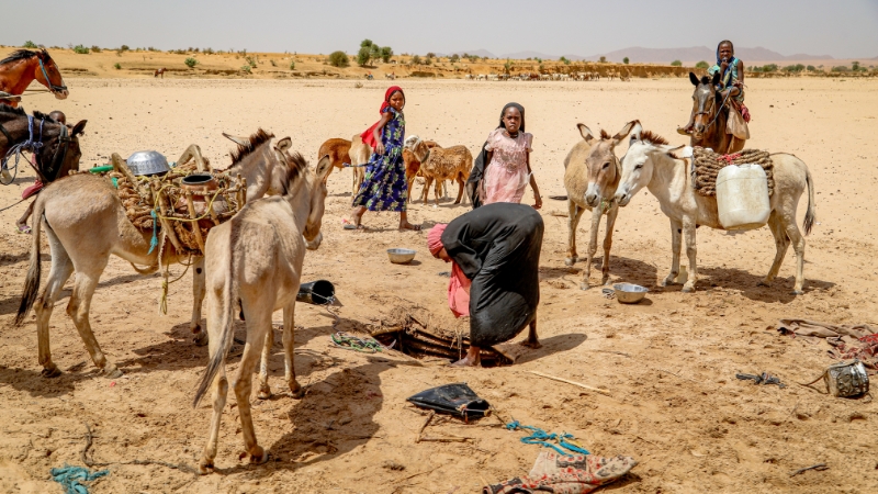 Mädchen bei einer Wasserstelle, Tschad