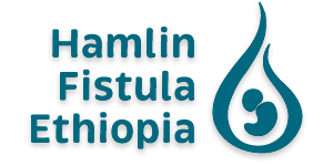 Logo Partnerorganisation Hamlin Fistula