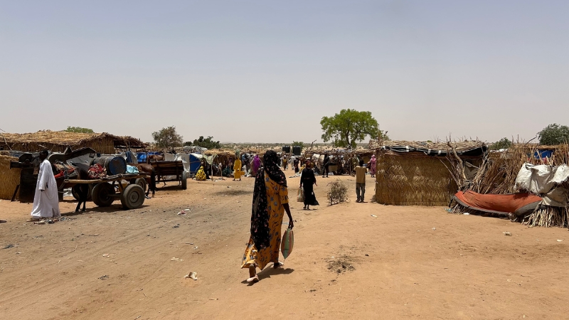 Frau vor einem Flüchtlingslager, Tschad