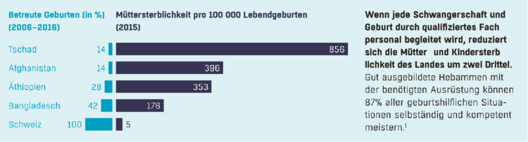 betreute_geburten.pdf