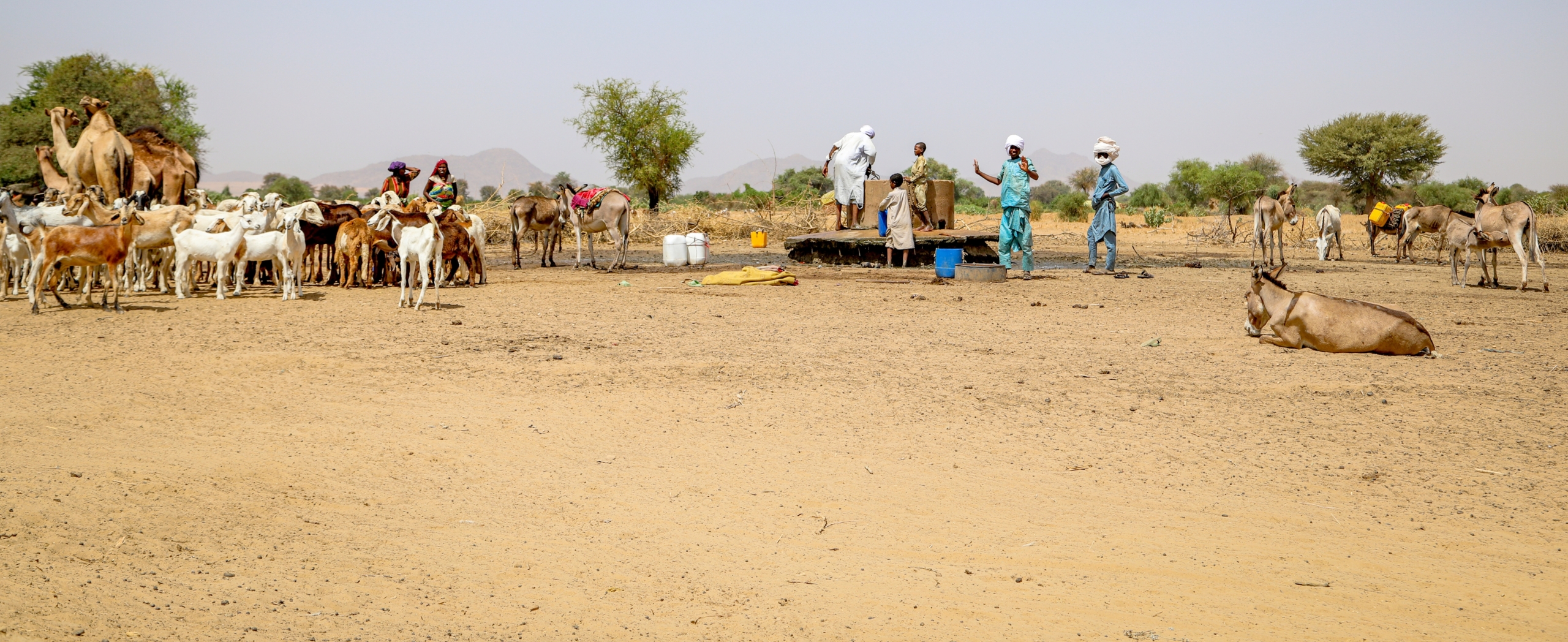 Wasserstelle Tschad Menschen in einer kargen Landschaft schöpfen Wasser bei einem Bohrloch.