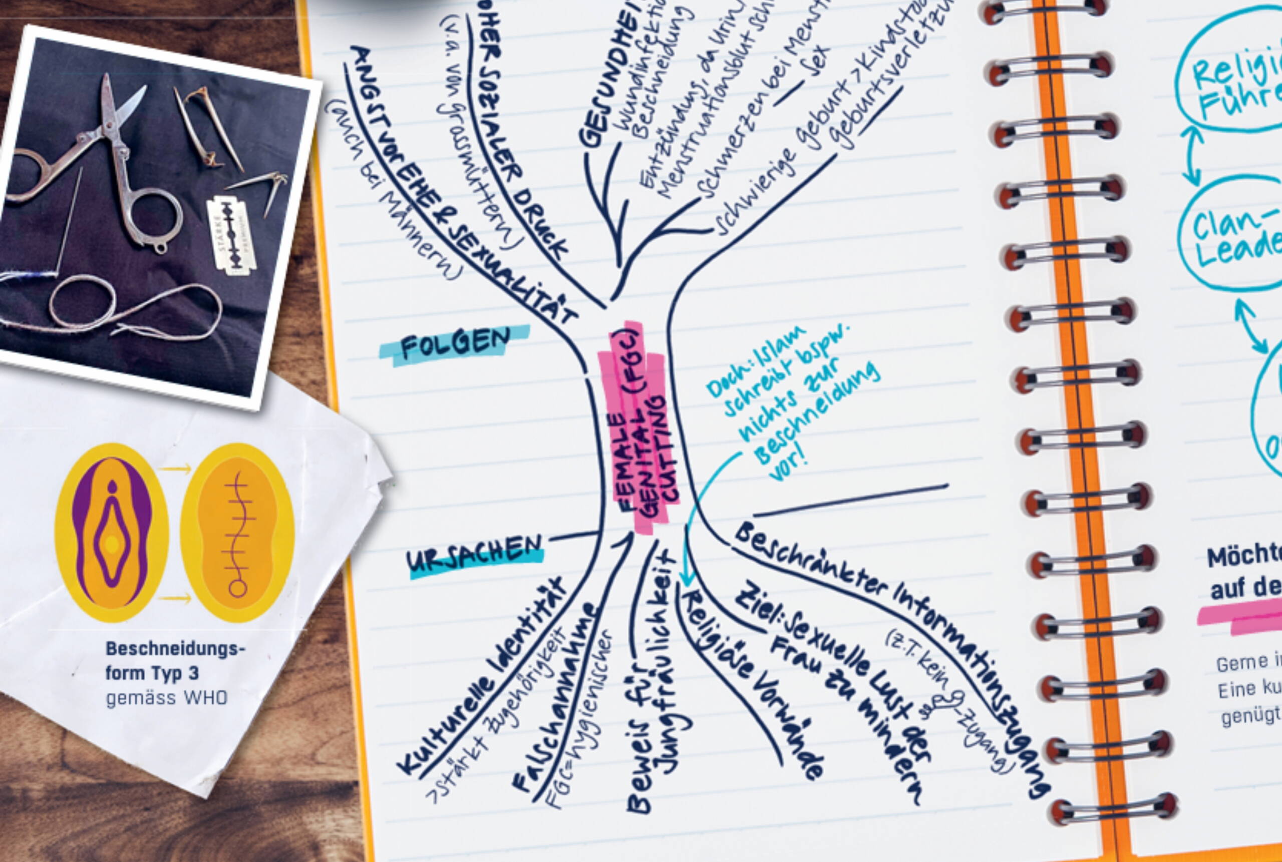 Ursachen-Folgen FGC Skizze zur Thematik FGC mit einem Baum mit Ursachen-Wurzeln und Folge-Ästen.