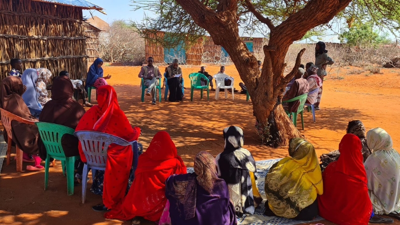 OWDA Menschen sitzen unter einem Baum im Schatten im Kreis und diskutieren.