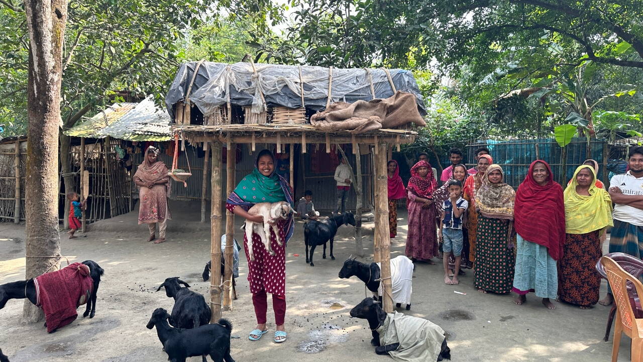 Geisszucht Noian Ein Mädchen hält eine Geiss, darum herum versammelt steht die Dorfgemeinschaft.