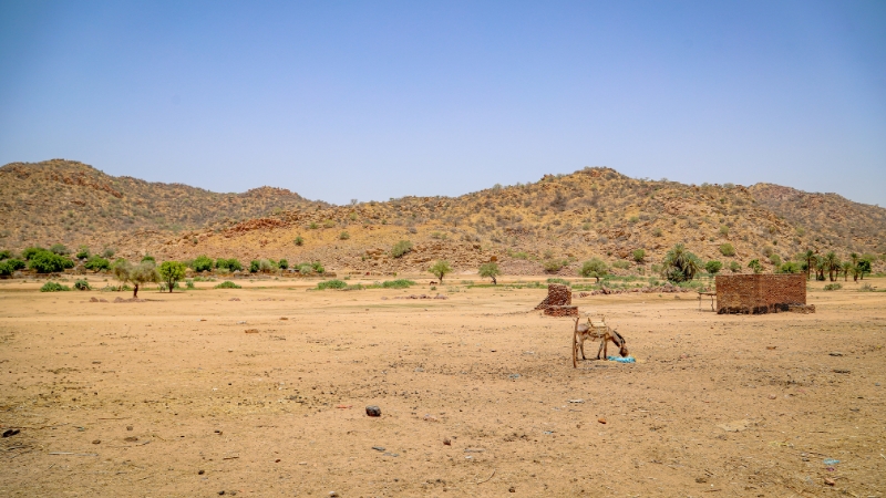 Trockene Landschaft im Tschad
