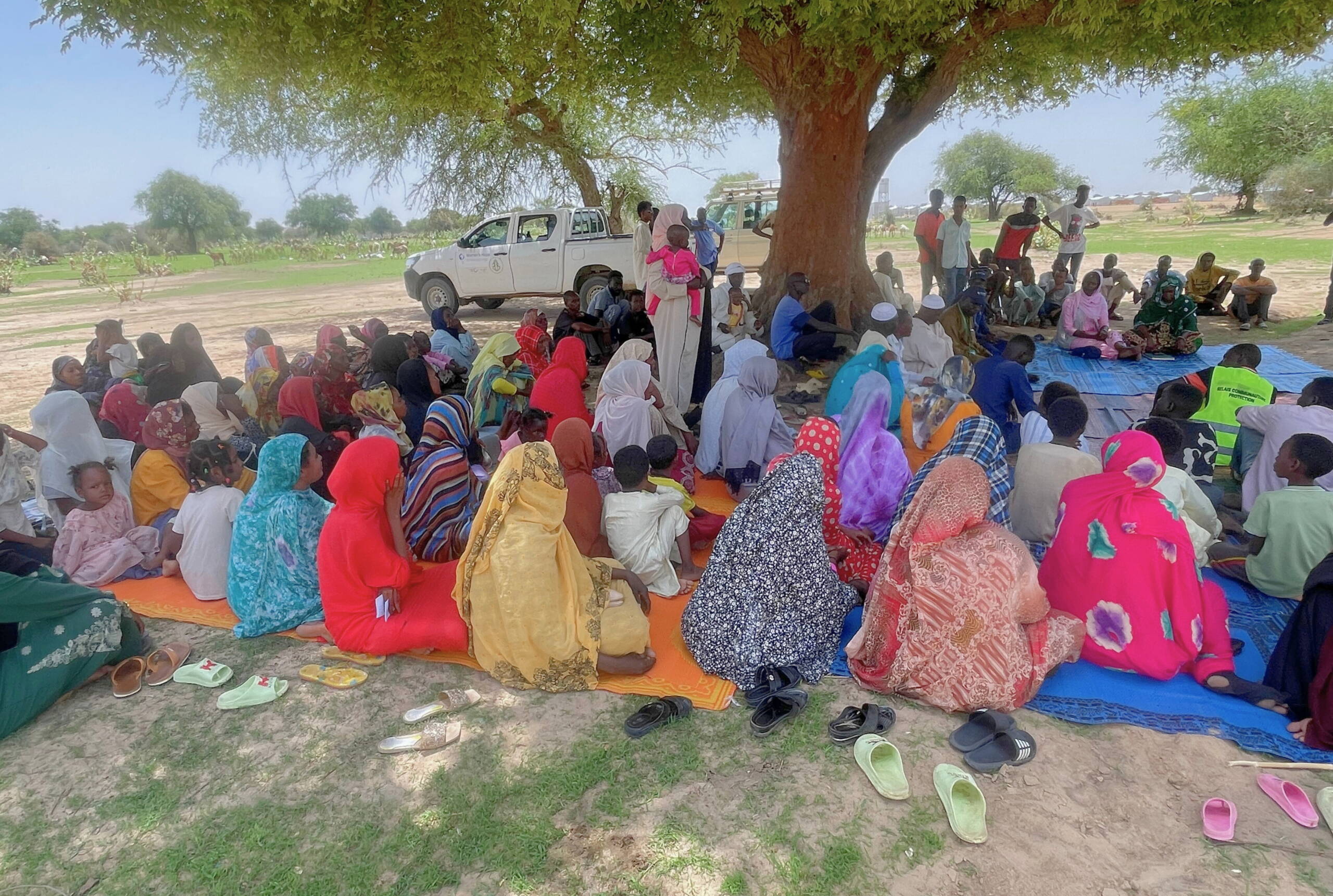 Frauen sitzen unter einem Baum im Schatten.