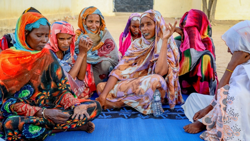 Frauen bei einer Gemeinschaftsbefragung, Tschad