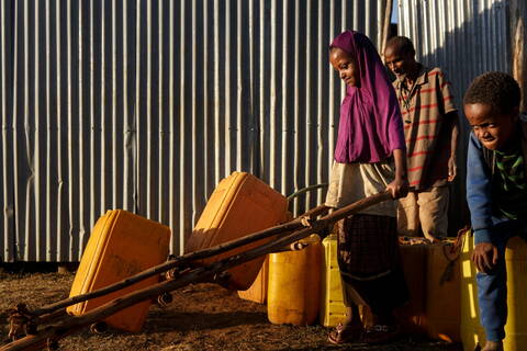 Femmes et changement climatique